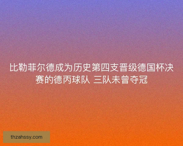 比勒菲尔德成为历史第四支晋级德国杯决赛的德丙球队 三队未曾夺冠